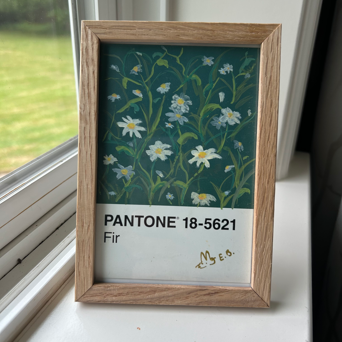 Chamomile Pantone Postcard - Original 1/1