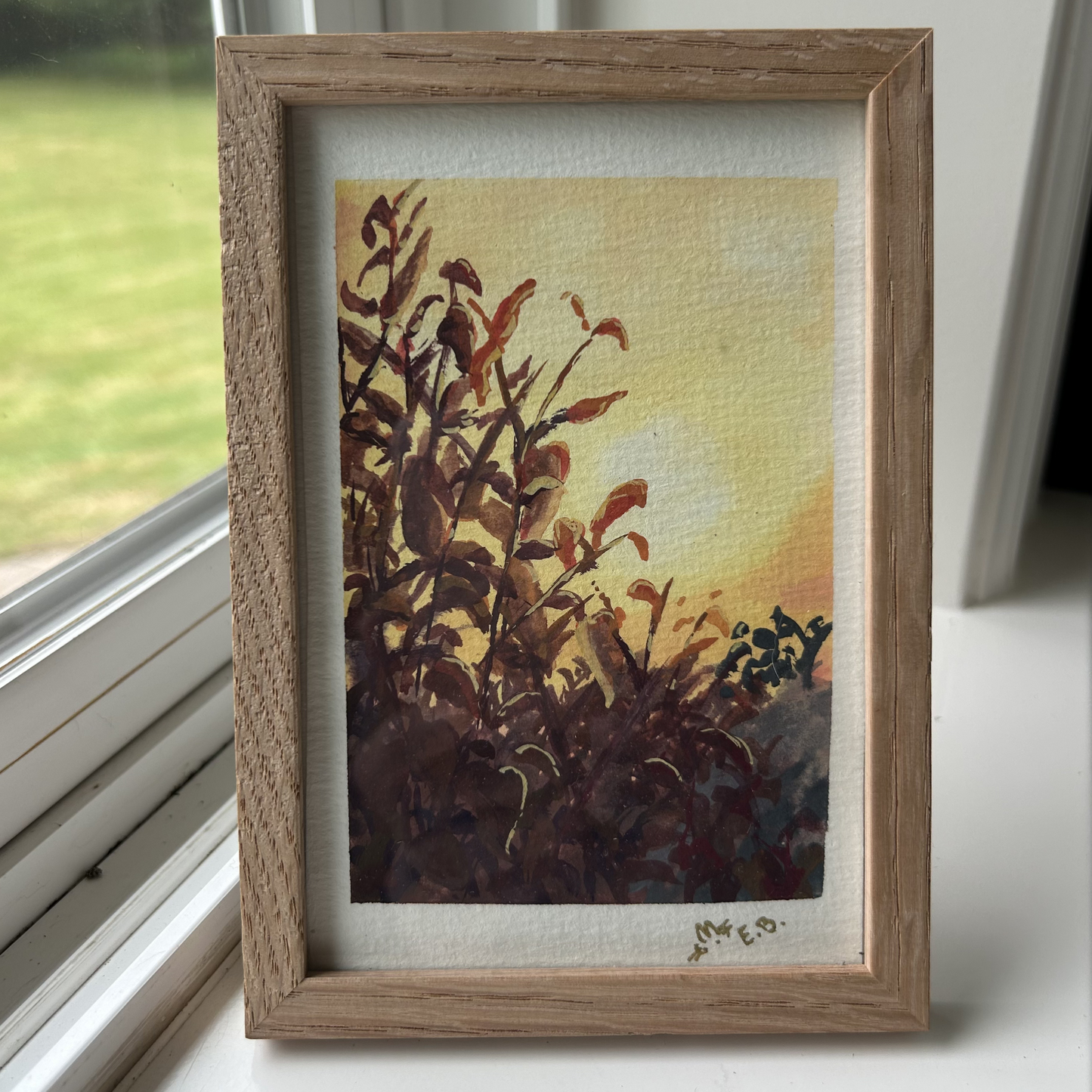 Sunlit Plants, Dark - Original 1/1