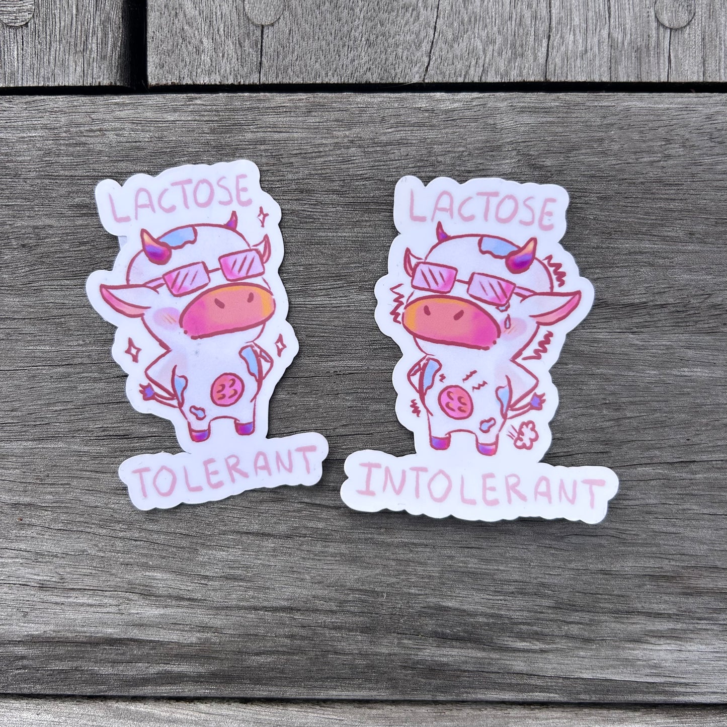 Lactose Intolerant Sticker