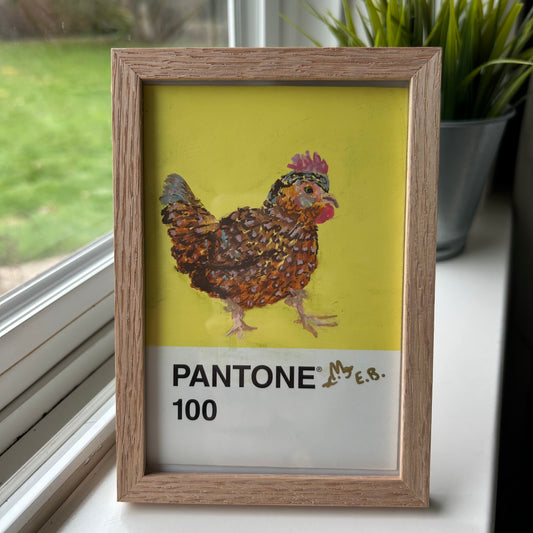 Sussex Chicken Pantone Postcard - Original 1/1