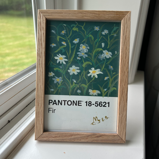 Chamomile Pantone Postcard - Original 1/1