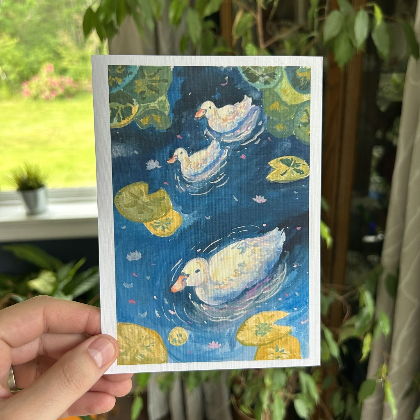 Ducks 5x7