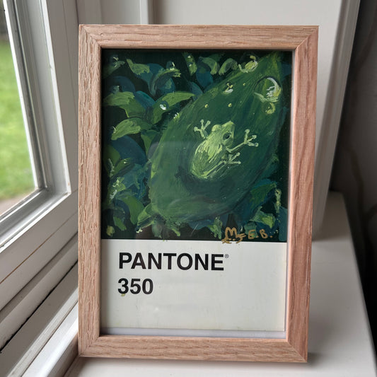 Frog on Leaf Pantone Postcard - Original 1/1
